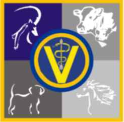 Kroonstad Diere Hospitaal